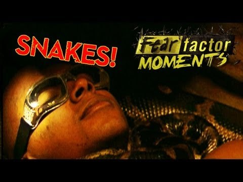 Fear Factor Moments | Snake Pit