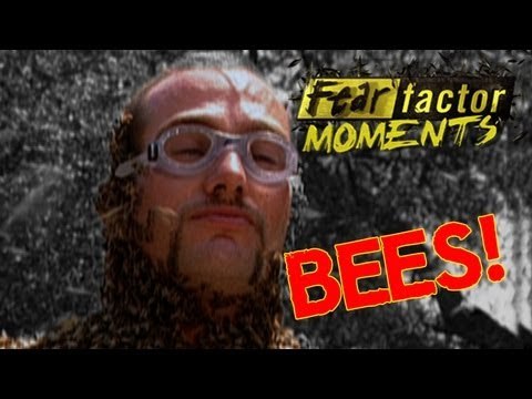 Fear Factor Moments | Bee Headed