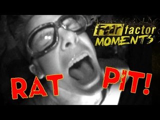 Fear Factor Moments | Rat Pit