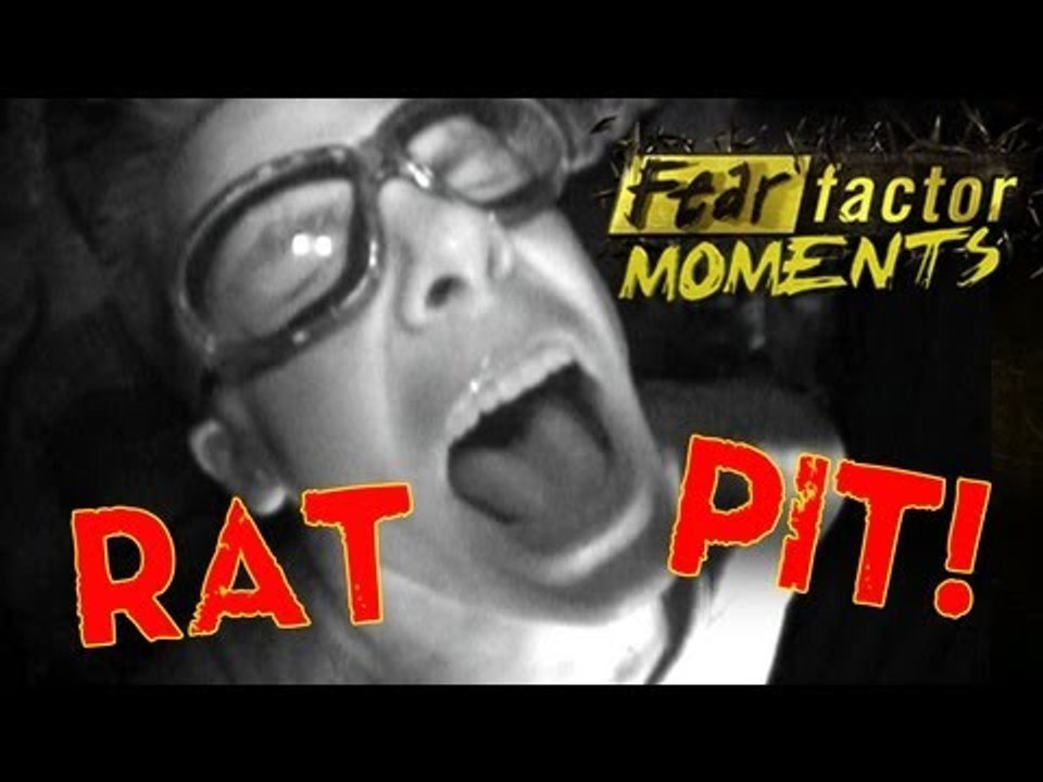 Fear Factor Moments | Rat Pit
