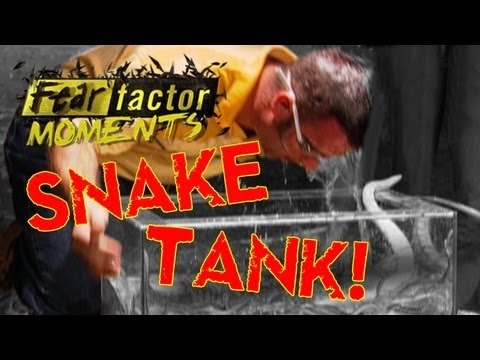 Fear Factor Moments | Bobbing for Snakes