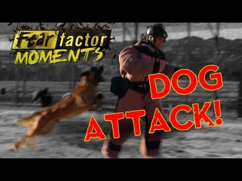 Fear Factor Moments | Dog Attack