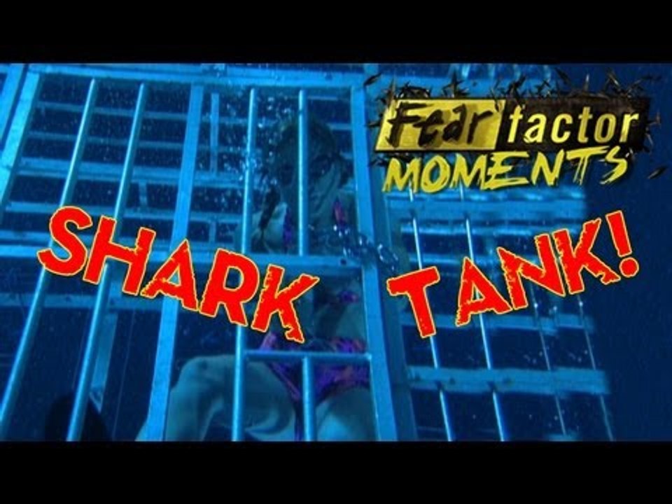 Fear Factor Moments | Shark Cage Escape