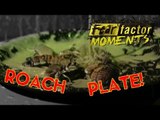 Fear Factor Moments | Roach Bob & Eat