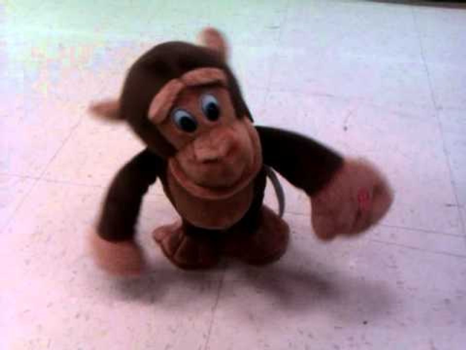 MONKEY DANCES TO PITBULL'S-I KNOW YOU WANT ME!!