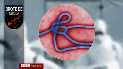 ¿Qué riesgos conlleva el suero para combatir el ébola?