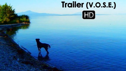 Adiós al lenguaje - Trailer subtitulado en español (HD)