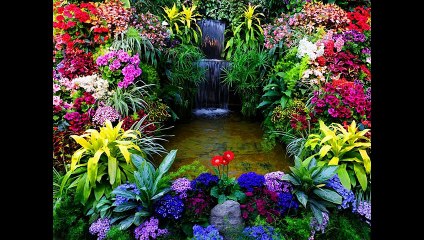 CARNET DE FLEURS (effectuée le 28 Août 2014, par Margaret Toussaint)