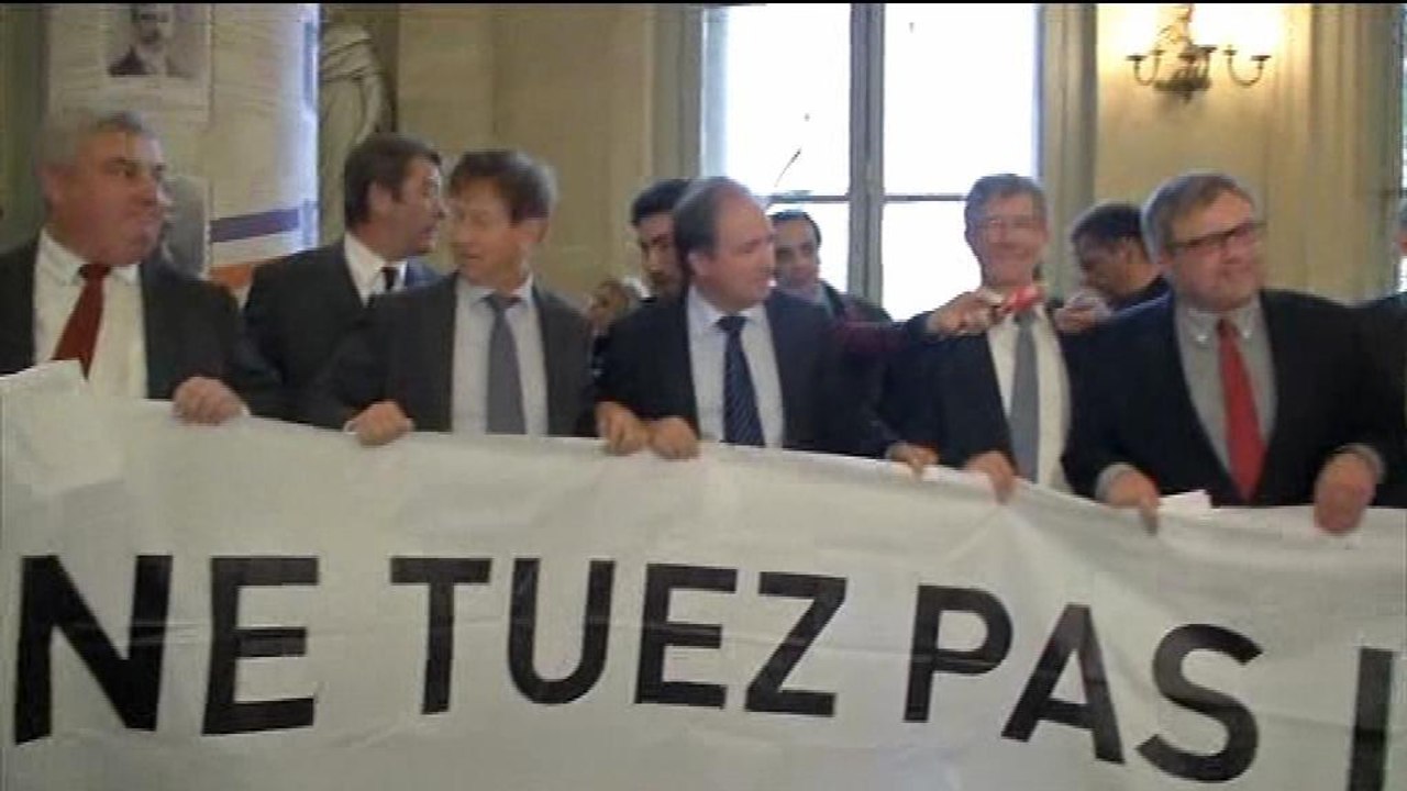 "Ne tuez pas l'Alsace": les UMP alsaciens manif...