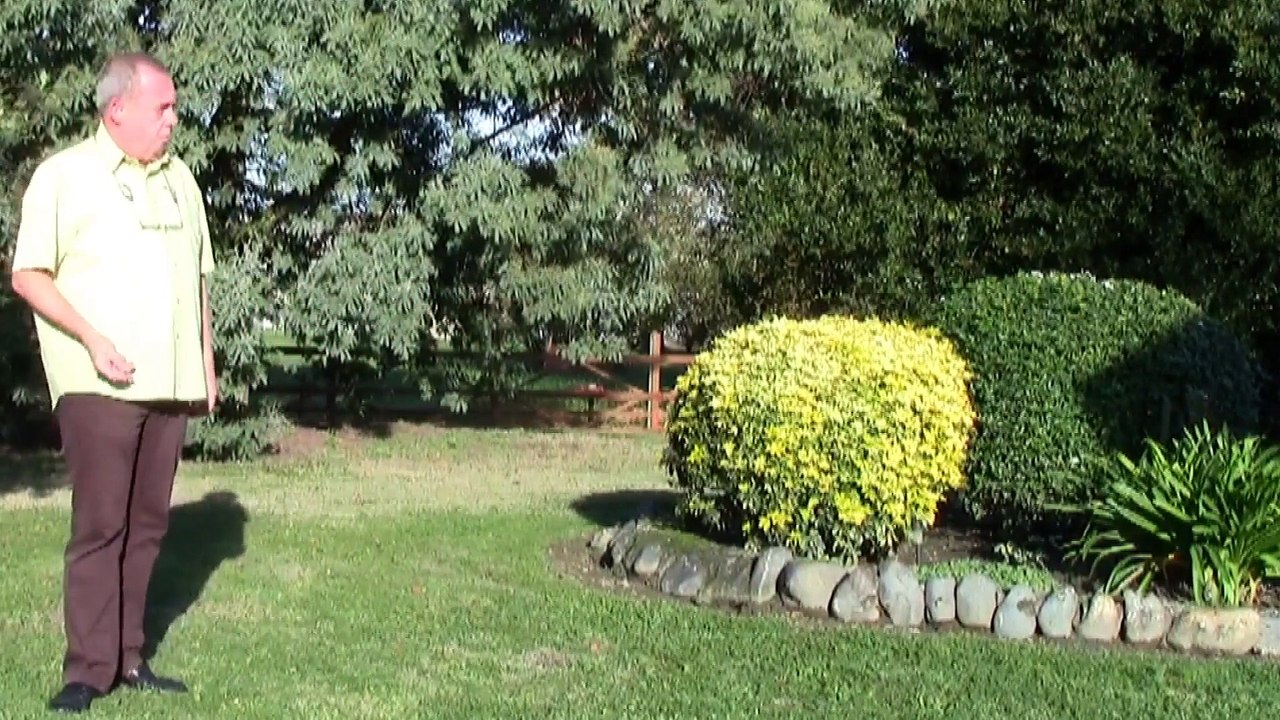 Télécharger une vidéo