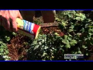 Keeping Your Property Safe and Beautiful; Tips from the Pros