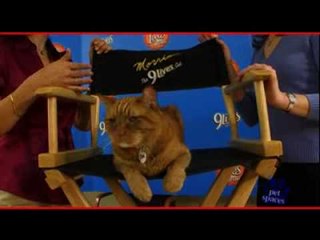 Designing Spaces Show 2102 - 9Lives - Make a difference in a cat's life