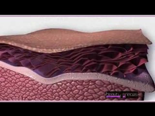 Lifestyle Revolution with Wellness Formulations