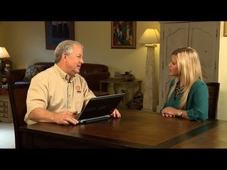 Termite Solutions for Today's Homeowners