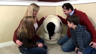 An innovative automatic kitty litter care product