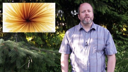 What Would It Be Like To Fall Into A Black Hole?