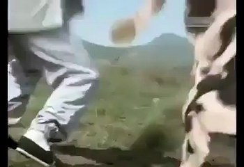 man vs cow funny videos-funny clips-funny fight.