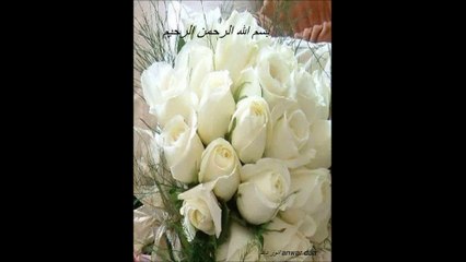 SURAT AL SHAMS سورہ الشمس