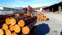 D!CI TV: le Préfet des Hautes-Alpes en visite à la scierie CEAS de la Bâtie-Neuve