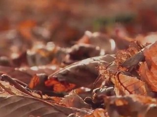 Alişan ft.Emrah - İhtiyacı Var