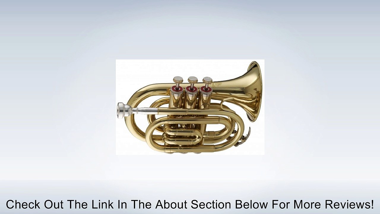 Stagg WS - TR245 Bb Pocket Trumpet with Case Review