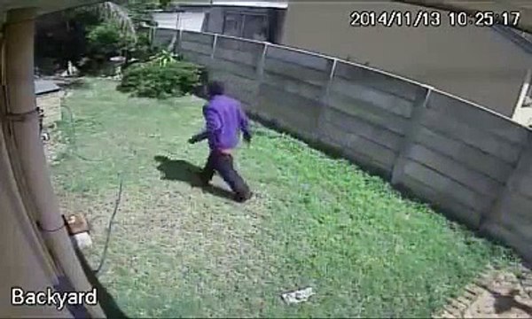 Voleur attaqué par le tigre de Seine et Marne