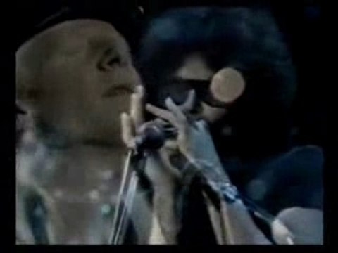 Johnny Winter Mississippi Blues