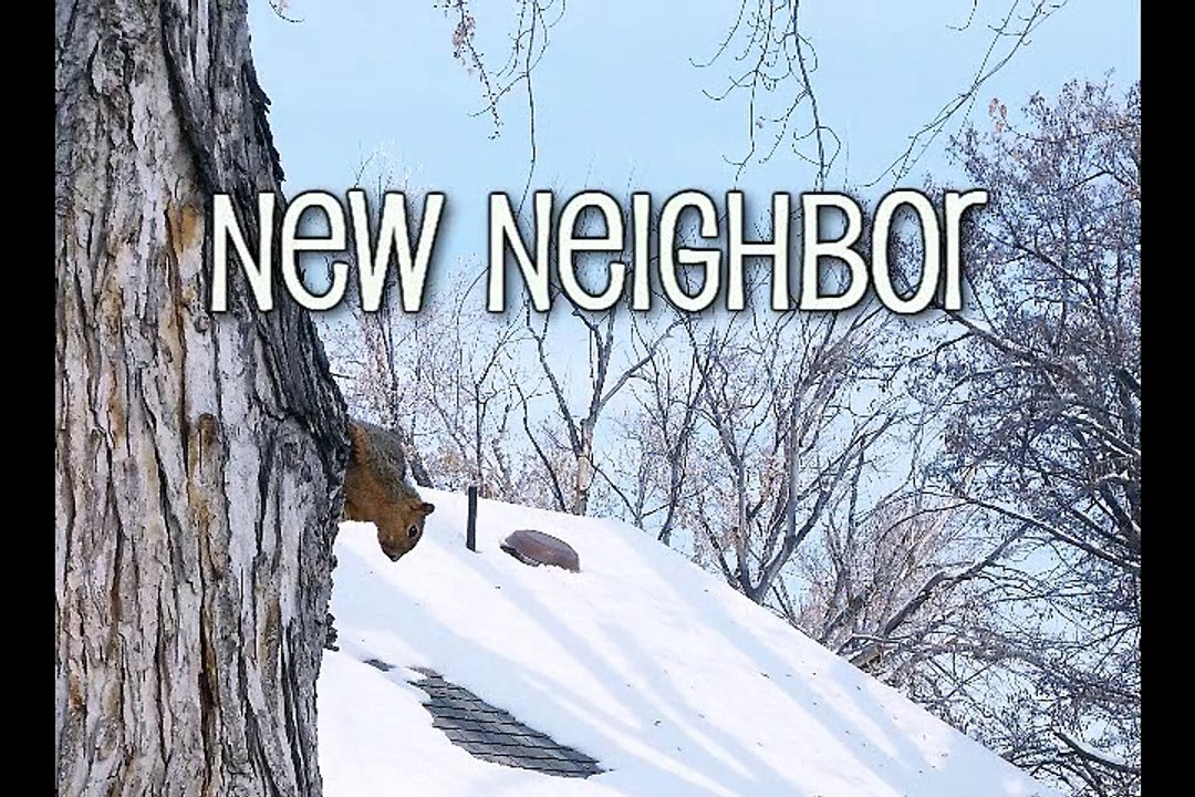 New Neighbor