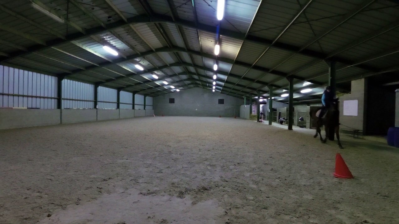 2ème séance : Miska au trot...