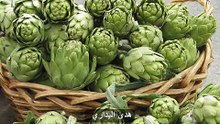 طريقة تحضير القوق معلب او الخرشوف - هدى اليداري