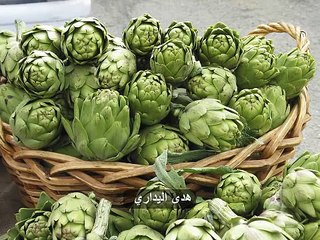 طريقة تحضير القوق معلب او الخرشوف - هدى اليداري