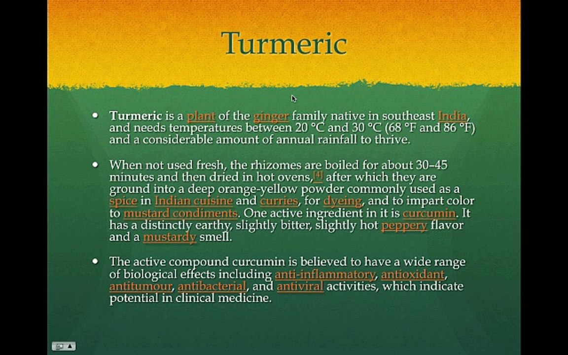 What Is The Plant Turmeric?