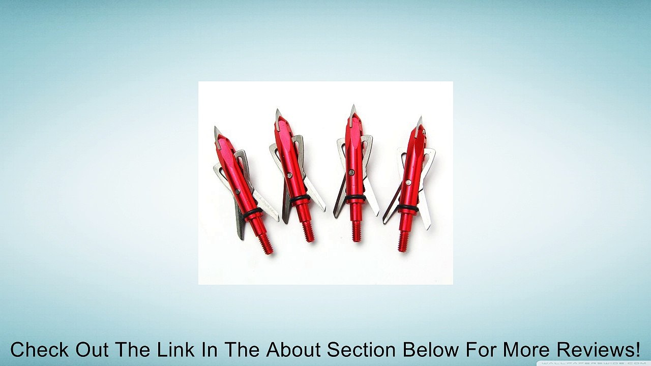 Buffalo Broadheads 2 Blade Exandables New 100 Grains Archery 6pcs Review