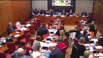 Audition de Mmes Najat Vallaud-Belkacem et Geneviève Fioraso, ministres, sur l'enseignement supérieur et la recherche - Mercredi 19 Novembre 2014