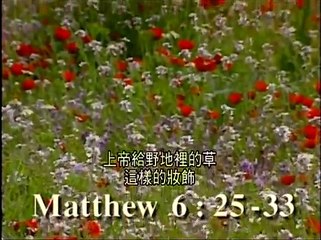 [让全世界都知道]11弥赛亚的生平与事奉上4