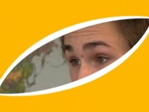 Un cerveau ? Examen oral - pub Bic