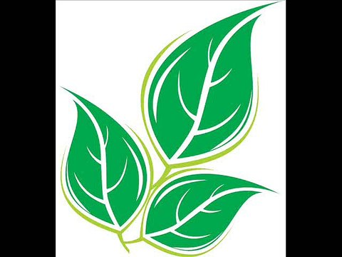 Adobe Flash Player 16.0.0.228 Beta 15.0.0.223 Offline Installer