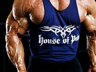 Build Your Own Muscle Building supplement