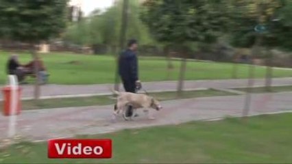 Parkta Narkotik Köpekli Uyuşturucu Uygulaması