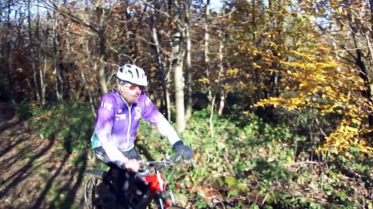 marcassins 19 novembre 14