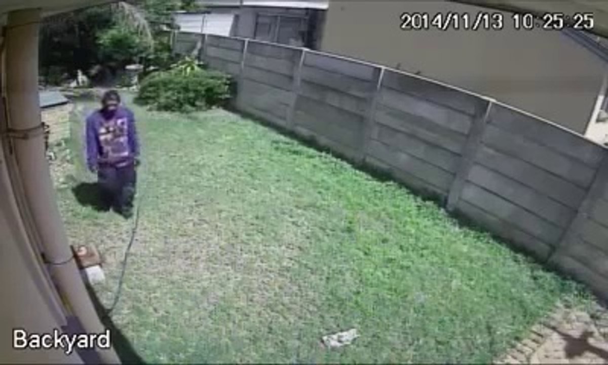 Cambrioleur VS chien très féroce...