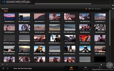 L4 Exploring the Media Page 720