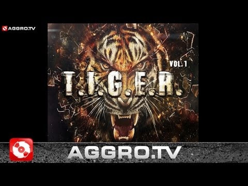 CAREEM - ICH SCHIESS - T.I.G.E.R. VOL.1 - ALBUM - TRACK 01