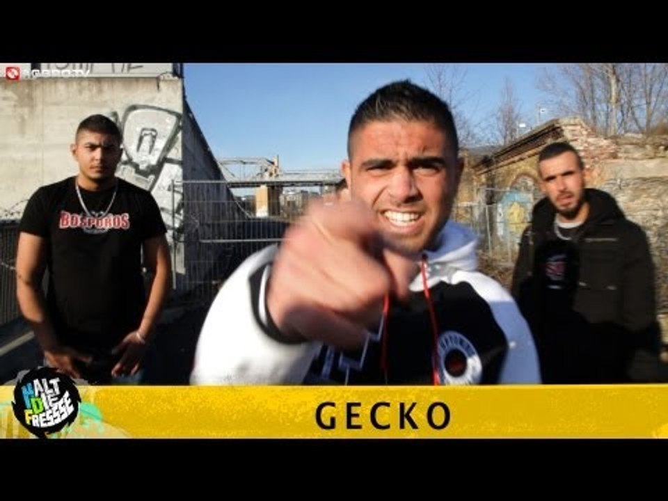 GECKO HALT DIE FRESSE 04 NR. 238 (OFFICIAL HD VERSION AGGROTV)