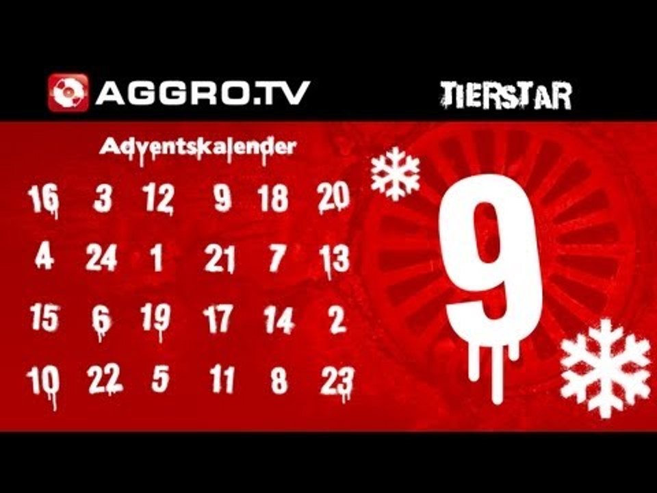 TIERSTAR - AGGRO.TV ADVENTSKALENDER - TÜRCHEN 09 (OFFICIAL HD VERSION AGGROTV)