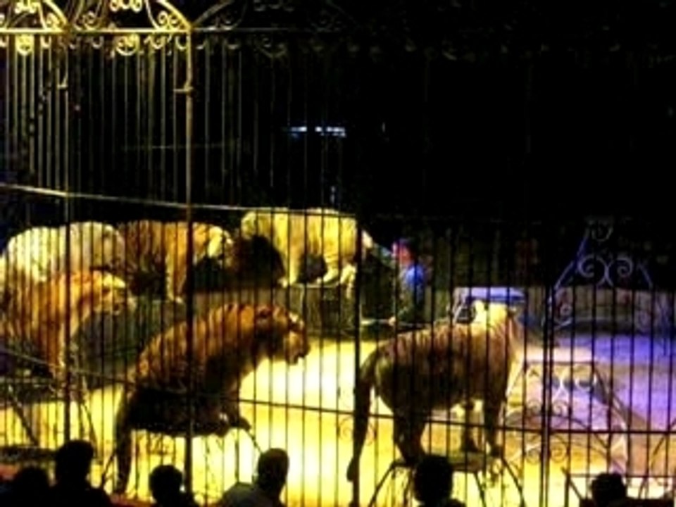 Au crique Zavatta(Fev 07)