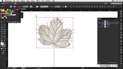 05_06-nature  hevendropsi