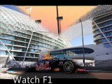 F1 Live ABU DHABI GRAND PRIX (Yas Marina)23 NOV 2014