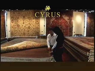 Cyrus Artisan Rugs Grand Opening TV Commercial in Minneapolis, Minnesota