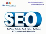 Get your website rank higher by hiring SEO professionals Manitoba